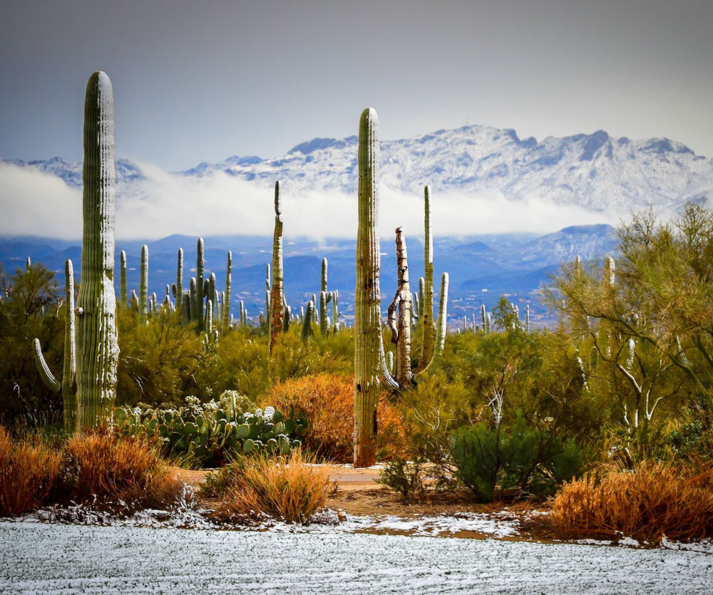 Snow can fall in Tucson ...